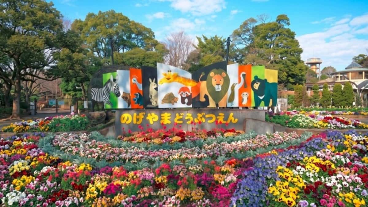 開園70年の野毛山動物園、2027年1月から全面休園し大改修へ