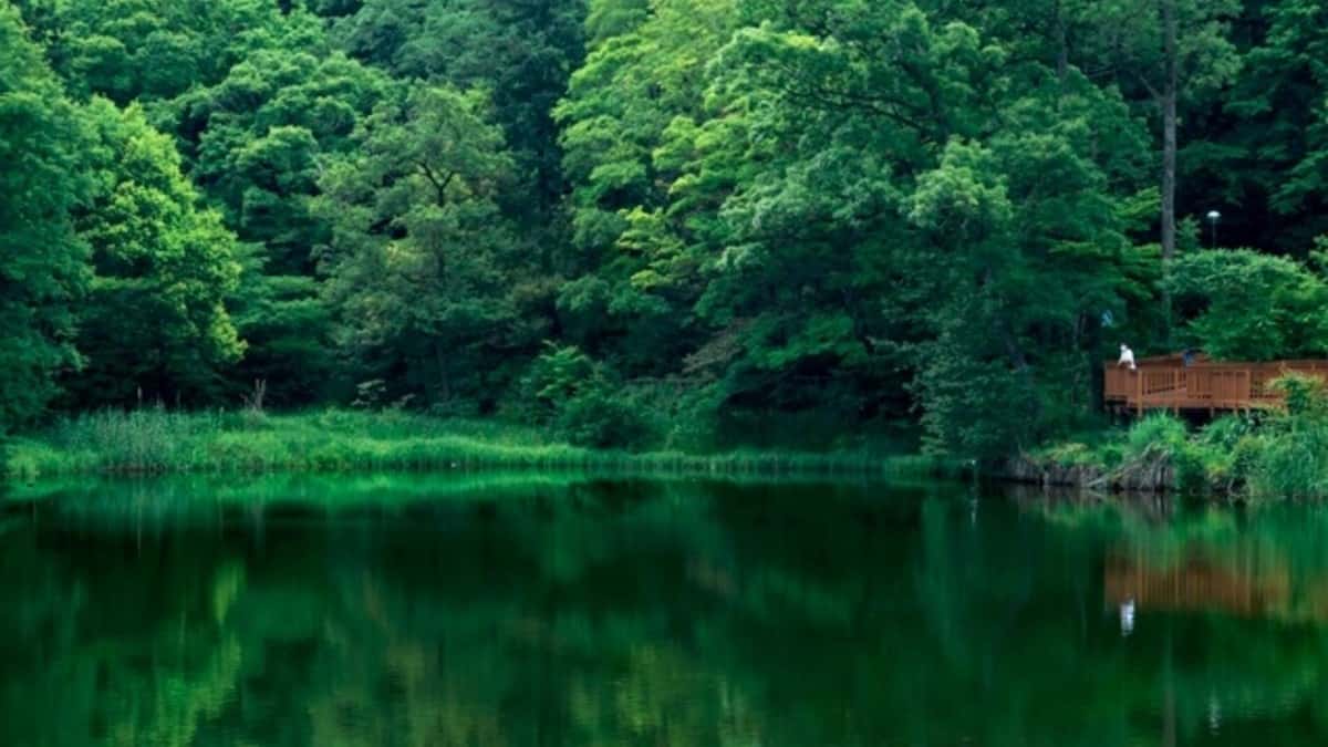 東京の自然公園ビジョン改訂へ、次の10年の整備方針まとまる