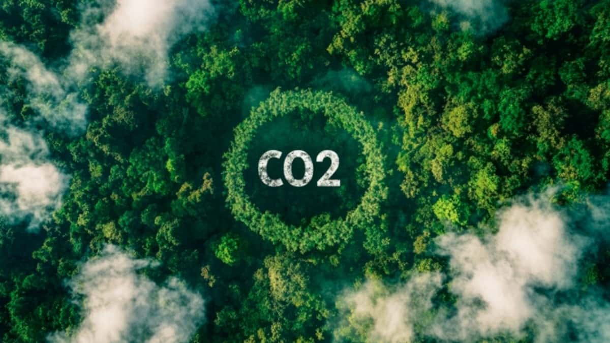 CO2を地域で使い切る新事業、環境省採択に東洋建設が参画していました