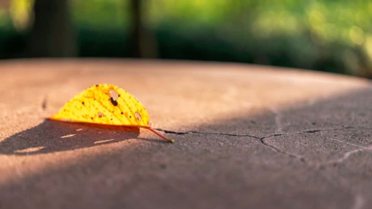 日なたは暑いのに日陰は寒い?秋の現場で気をつけたいこと
