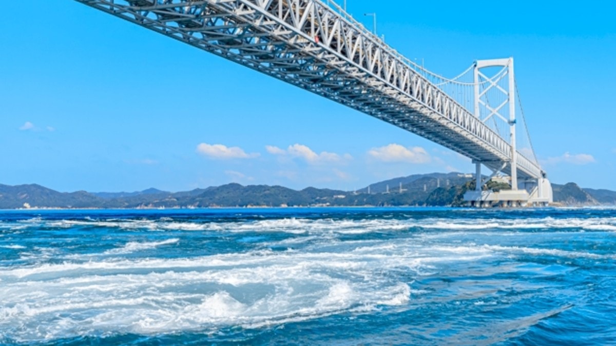 徳島の高校4校で校舎新築へ、県内企業に設計施工の受注チャンス