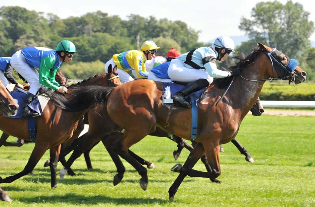 現場の“勝ち馬”に乗れ!建設業界で使える「競馬的」補助金・助成金の見極め方