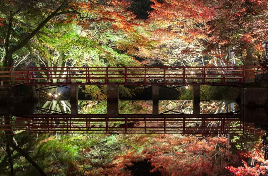 アートを支える現場の力!あいちトリエンナーレと瀬戸市の建設業